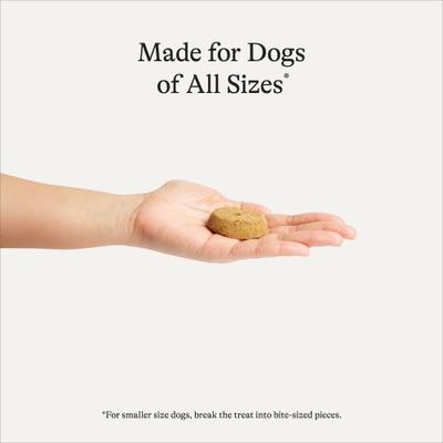 Salmon & Sweet Potato Recipe Limited Ingredient Dog Treats, 14-oz bag