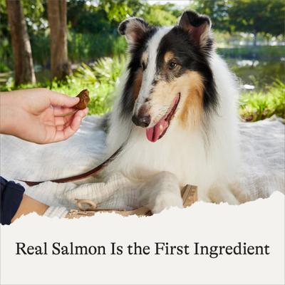 Premios para perros con ingredientes limitados, receta de salmón y batata, bolsa de 14 oz