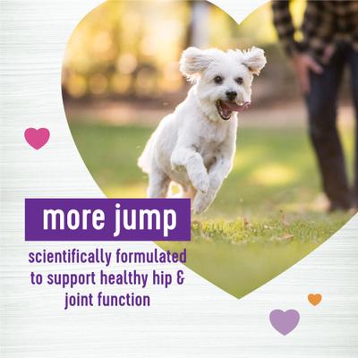 Bundle: Wellness Move Hip & Joint Support Chicken Flavor Chew Supplements + CORE Senior Deboned Turkey Recipe Dry Dog Food