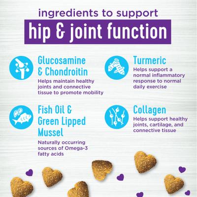 Bundle: Wellness Move Hip & Joint Support Chicken Flavor Chew Supplements + CORE Senior Deboned Turkey Recipe Dry Dog Food