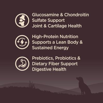 Bundle: Wellness Move Hip & Joint Support Chicken Flavor Chew Supplements + CORE Senior Deboned Turkey Recipe Dry Dog Food