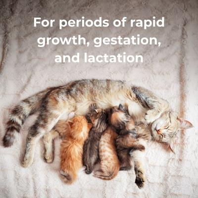 Calcium Phosphorus Daily Chewable Supplement Tablets for Dogs & Cats 12 Weeks & Older, 50-count