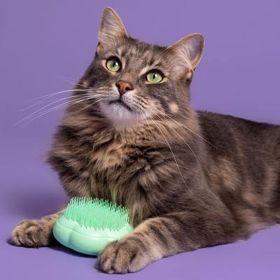 Cat Grooming Brush, Green