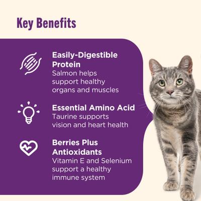 Senior Healthy Aging Chicken, Chickpeas & Salmon Recipe Dry Cat Food, 3-lb bag (Rachael Ray)