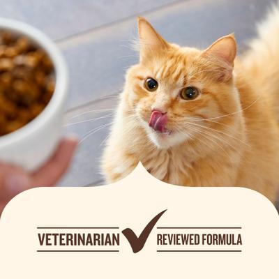 Senior Healthy Aging Chicken, Chickpeas & Salmon Recipe Dry Cat Food, 3-lb bag (Rachael Ray)