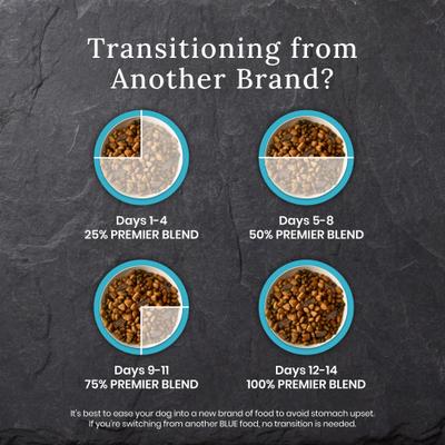 Wilderness Premier Blend Adult Natural Meaty Cuts Salmon Dry Dog Food, 4.5-lb bag