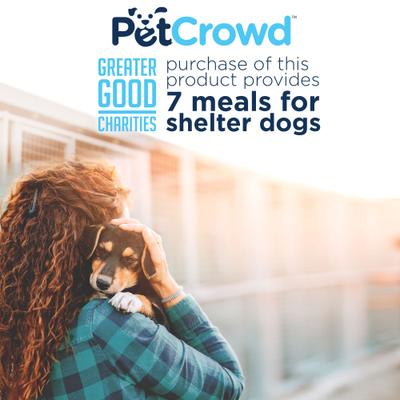 Maltese Chicken & Turmeric Chips Grain-Free Dog Treats, 5.5-oz can