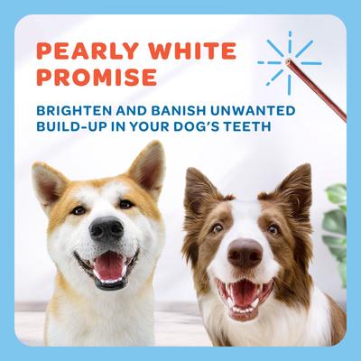 USA Beef Collagen Chews Extra Thin Jerky Dog Treats, 60 count, 15-oz bag