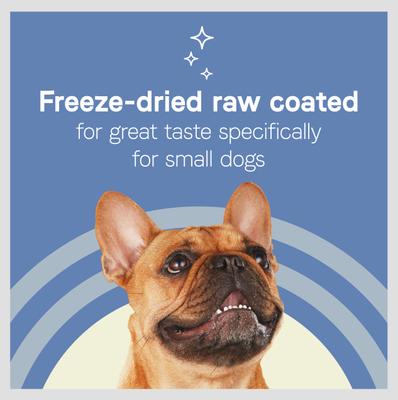 Pure Petite Premium Recipe Chicken & Wholesome Grains Dry Dog Food, 10-lb bag