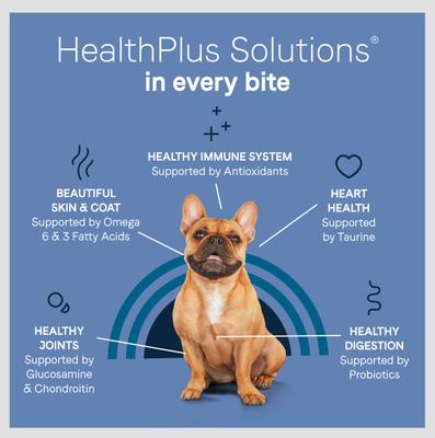 Pure Petite Premium Recipe Chicken & Wholesome Grains Dry Dog Food, 10-lb bag