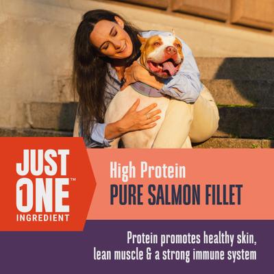 Just One Ingredient Pure Salmon Fillet Freeze-Dried Dog & Cat Treats, 8-oz bag