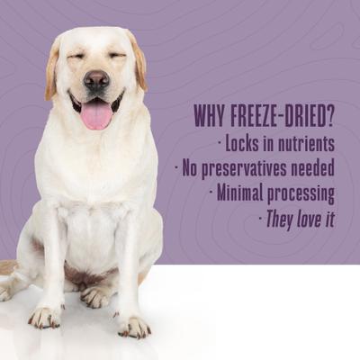 Just One Ingredient Pure Salmon Fillet Freeze-Dried Dog & Cat Treats, 8-oz bag