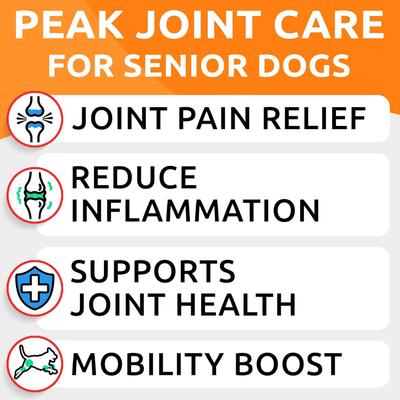 Advanced Glucosamine Chondroitin Chews Hip & Joint with Omega 3 & Fish Oil Supplement for Senior Dogs, 120 count