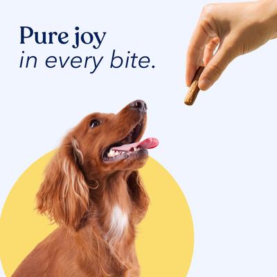 Jerky Sticks - Premios para perros con sabor a pollo, sin cereales, bolsa de 7.8 oz