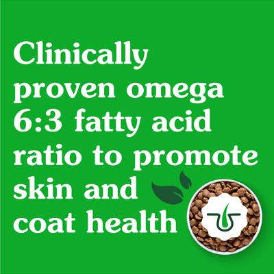 Smart Essentials Sensitive Digestion & Skin Real Lamb & Brown Rice Dry Dog Food, 6-lb bag