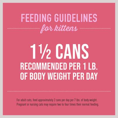 Baby Chicken & Salmon Recipe Grain-Free Wet Kitten Food, 2.4-oz can, case of 12