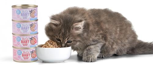 Baby Chicken & Salmon Recipe Grain-Free Wet Kitten Food, 2.4-oz can, case of 12