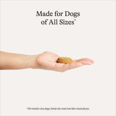 Turkey & Sweet Potato Recipe Limited Ingredient Dog Treats, 14-oz bag