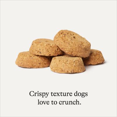 Turkey & Sweet Potato Recipe Limited Ingredient Dog Treats, 14-oz bag