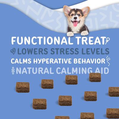 Calm Stress & Anxiety Relief Melatonin Dog Supplement, 60 count