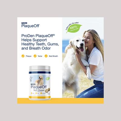 PlaqueOff Large/Giant Breed Soft Chews Dog Treat, 90 count
