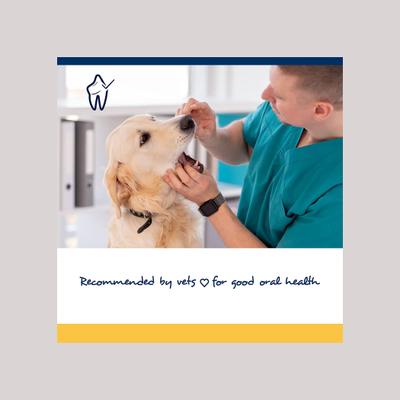 PlaqueOff Large/Giant Breed Soft Chews Dog Treat, 90 count