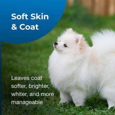 Fresh 'n Clean Whitening Snowy-Coat Dog Shampoo, Vanilla Scent, 15:1 Concentrate, 1-gal bottle