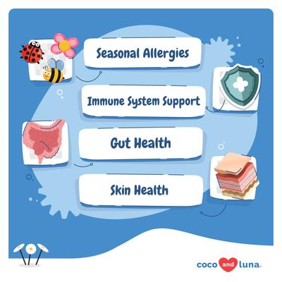 Coco and Luna Allergy Support with Quercetin & Bromelain Seasonal Allergies, Immune Support & Gut Health Soft Chew Supplement for Dogs, 90 count