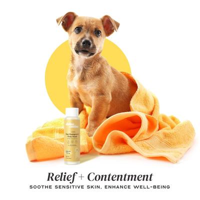 Super Soft Heavenly Honey & Coconut Milk Dog Shampoo, 13.5-fl oz bottle