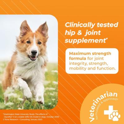 GlycoFlex Stage III Chicken Flavored Chewable Tablets Joint Supplement for Dogs, 120 count