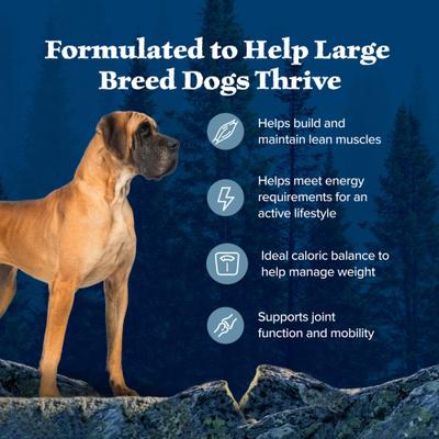Wilderness Chicken Recipe High-Protein Healthy Weight Large Breed Adult Dry Dog Food, 28-lb bag