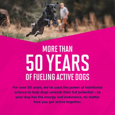 Adult Beef & Vegetable Stew Canned Dog Food, 12.5-oz, case of 12