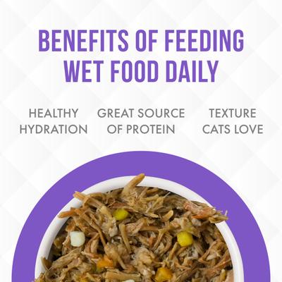 Truluxe Steak Frites Dinner Beef & Pumpkin in Gravy Grain-Free Wet Cat Food, 3-oz, case of 24