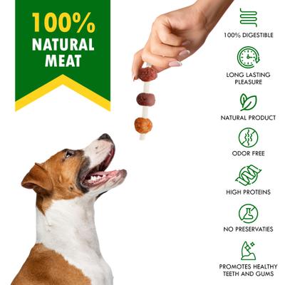 All Natural Pet Dried Snacks Human Grade Rawhide-Free & Grain-Free Kabobs Chicken & Duck Dental Dog Treats, 10.6-oz bag