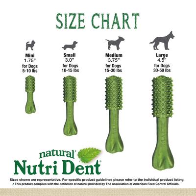 Nutri Dent Natural Dental Fresh Breath Flavored Chew Treat, Small, 28 count