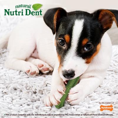 Nutri Dent Natural Dental Fresh Breath Flavored Chew Treat, Small, 28 count