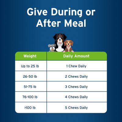 Allergy & Immune+ Supplement for Dogs, 60 count