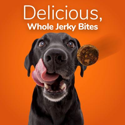 Whole Jerky Bites Alaskan Salmon & Pear Dog Treats, 5-oz bag