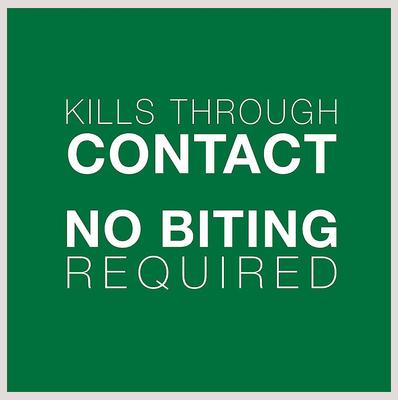 Bundle: Advantage II Flea Spot Treatment, over 9-lbs + Elanco Tapeworm Cat De-Wormer