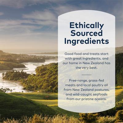 Peak Deer Shank Bone Dog Chew, Full Bone