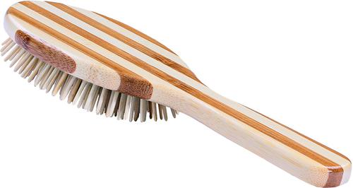 The Green Pet Oval Brush, Bamboo-Stiped Finish, Large