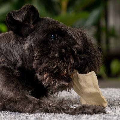 Chips de piel de res masticables duros con sabor natural para perros, bolsa de 22 oz