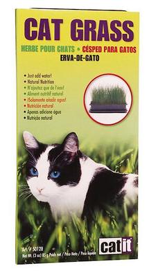 Cat Grass