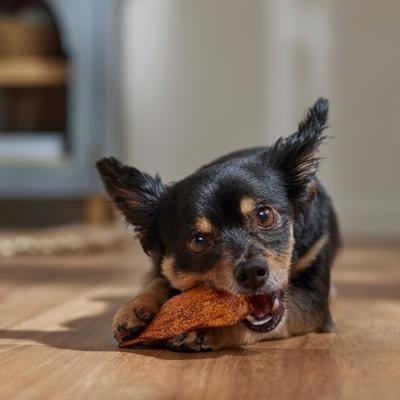 DogLicious Beef Flavored Chips Rawhide Dog Treats, 3-oz bag