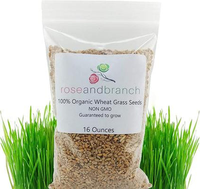 Organic Wheat Cat Grass Seeds, 16-oz pouch