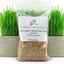 Organic Wheat Cat Grass Seeds, 16-oz pouch