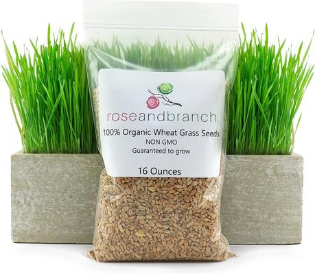 Organic Wheat Cat Grass Seeds, 16-oz pouch