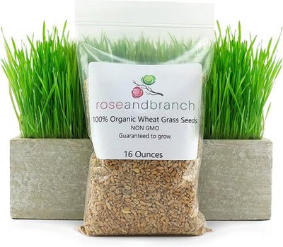 Organic Wheat Cat Grass Seeds, 16-oz pouch