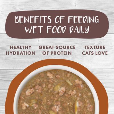 Classic Cat What a Crock Chicken & Salmon in Gravy Stew Cat Food Pouches, 3-oz pouch, 12 count