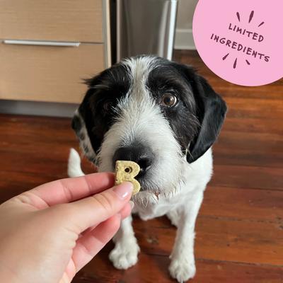 Bone Broth, Carrots & Parsley Dog Treats, 5-oz bag